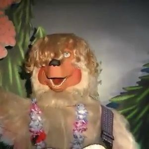 Meet your Posher, Sam